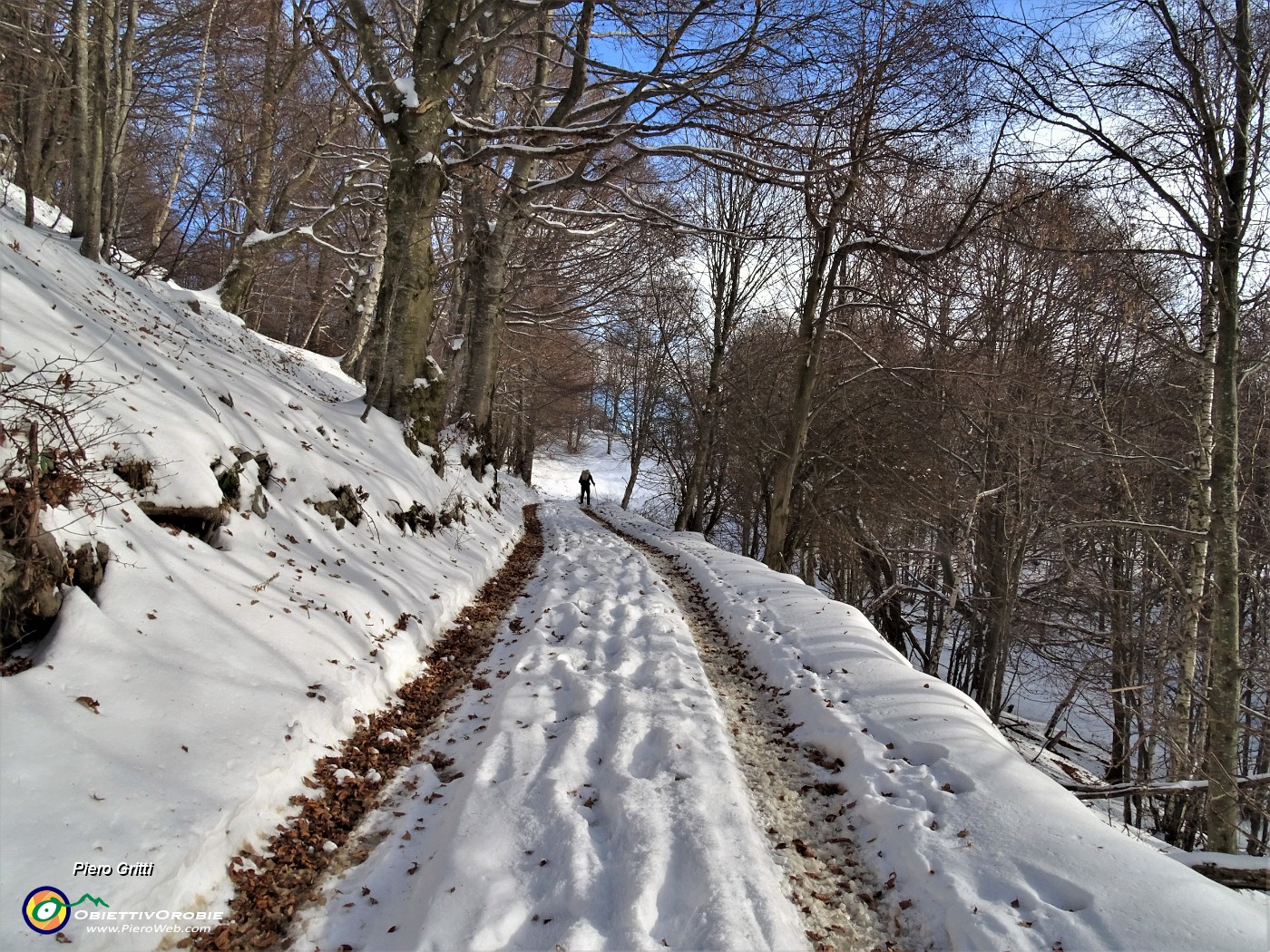 27 La strada corre in faggeta.JPG